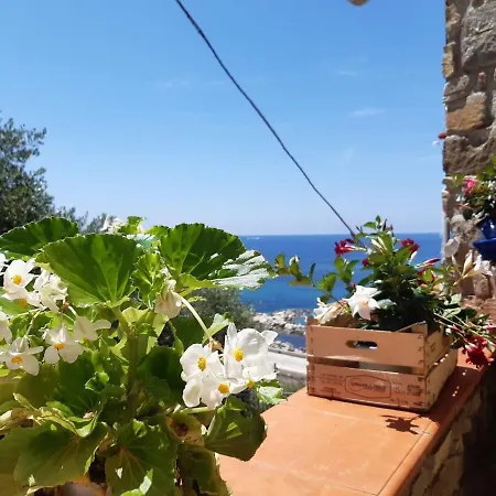 Dom wakacyjny L'abbraccio Del Mare *